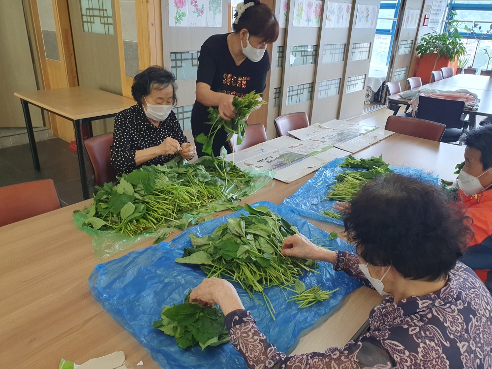 사회적응 프로그램 (취나물 다듬기)