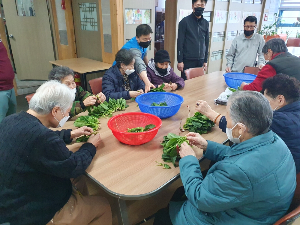 사회적응 프로그램 (시금치 다듬기)